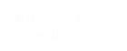 ArticMore.